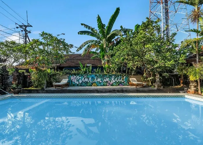 Backpacker ホステル